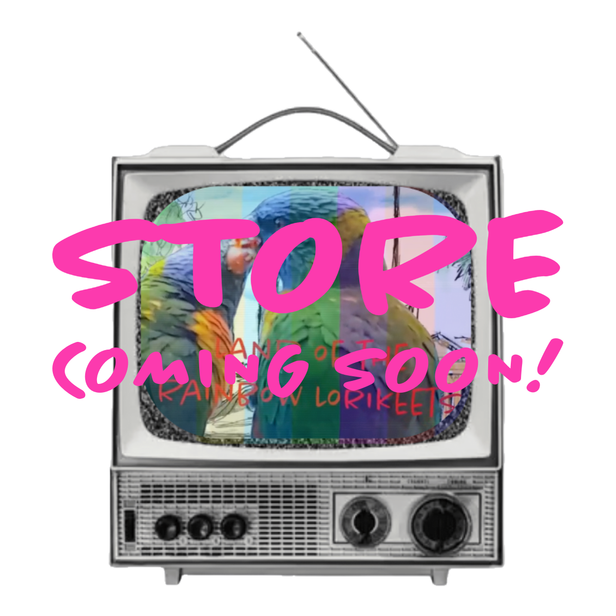 Land of the Rainbow Lorikeets store coming soon